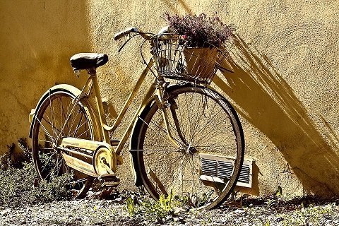 De steden met het hoogste percentage fietsendiefstallen