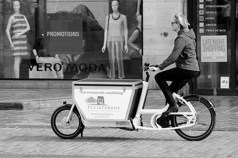 Welk slot is het beste voor een bakfiets?